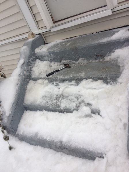 The front steps became a slide of ice!